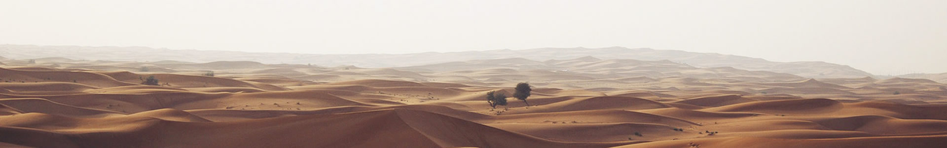ݸӯ²ϿƼ޹˾
